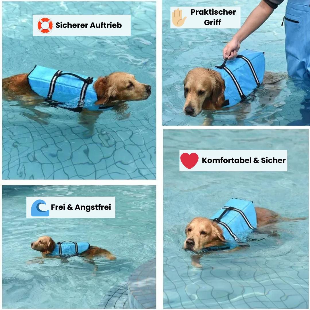 Float Buddy - Sicherer Schwimmspaß für deinen Vierbeiner