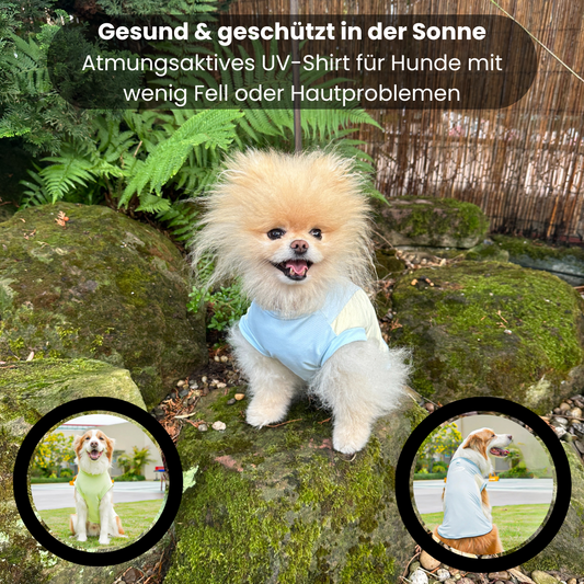 Sun Buddy - Sonne liebt ihr Fell, nicht ihre Haut - UV-Schutz für sensible Hundehaut