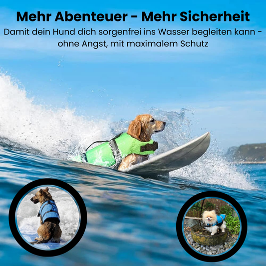 Float Buddy - Sicherer Schwimmspaß für deinen Vierbeiner