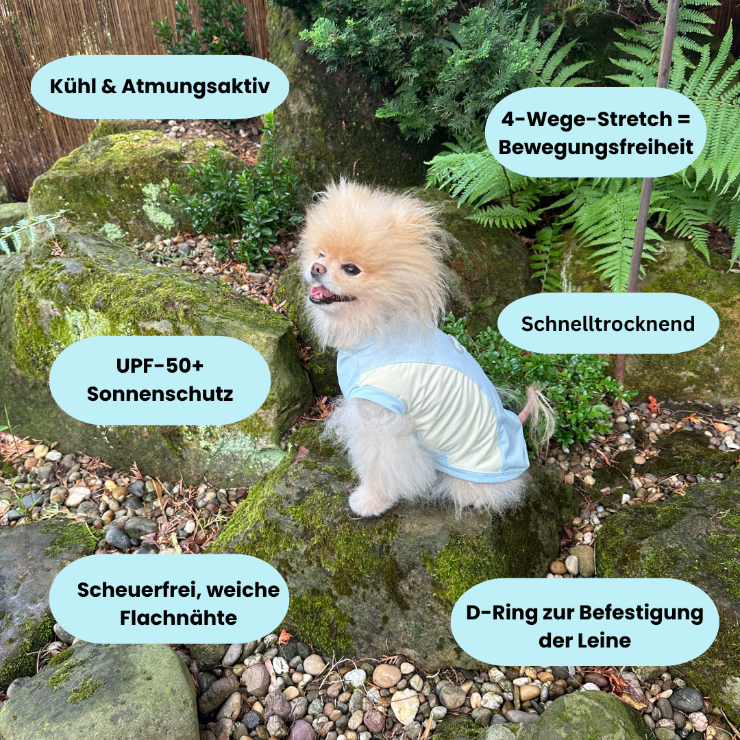 Sun Buddy - Sonne liebt ihr Fell, nicht ihre Haut - UV-Schutz für sensible Hundehaut