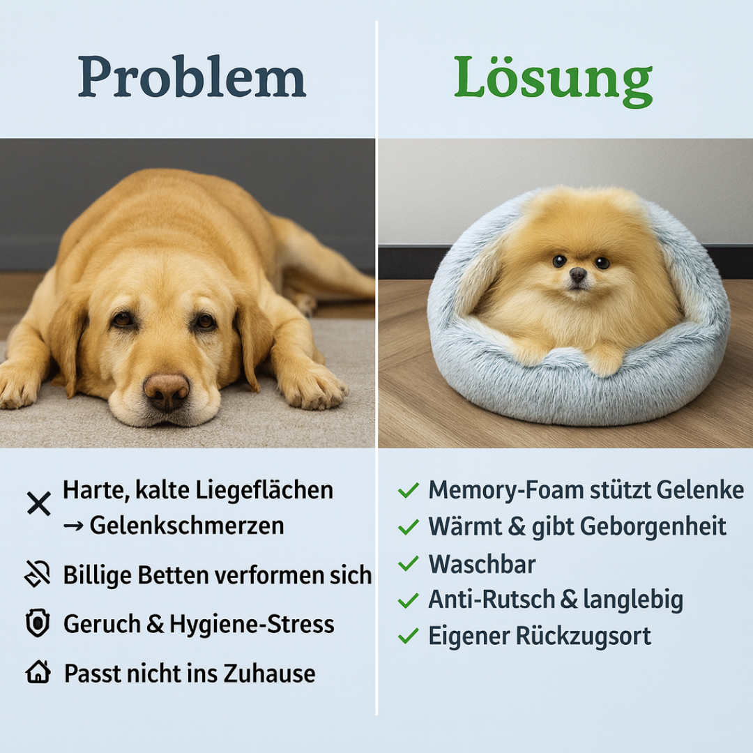 Paw Palast - Weil dein Haustier mehr verdient als nur ein Platz zum Schlafen