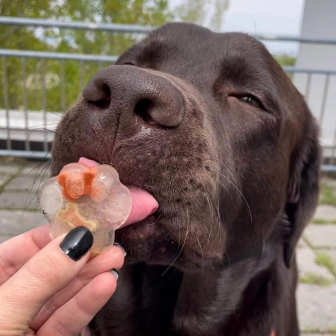 Frost Buddy - die clevere Leckerli-Form fürs Eisfach - inkl. Gratis Rezept