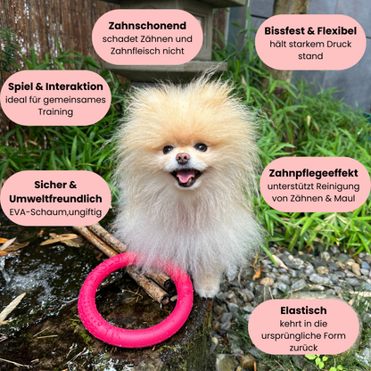 Play Buddy - Zähne schonen, Spielzeit verlängern - Der schwimmende Spaßring für aktive Hunde