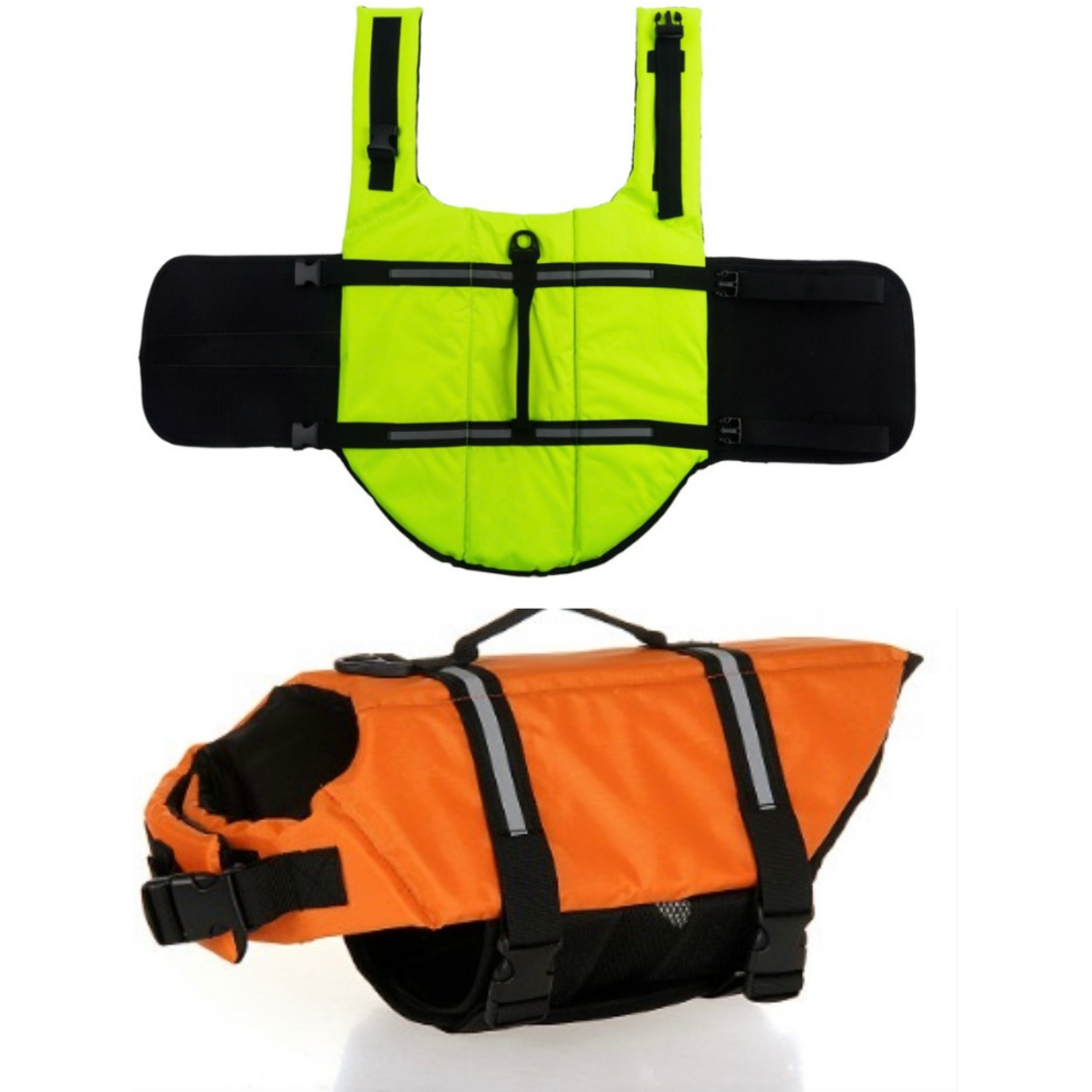 Float Buddy - Sicherer Schwimmspaß für deinen Vierbeiner