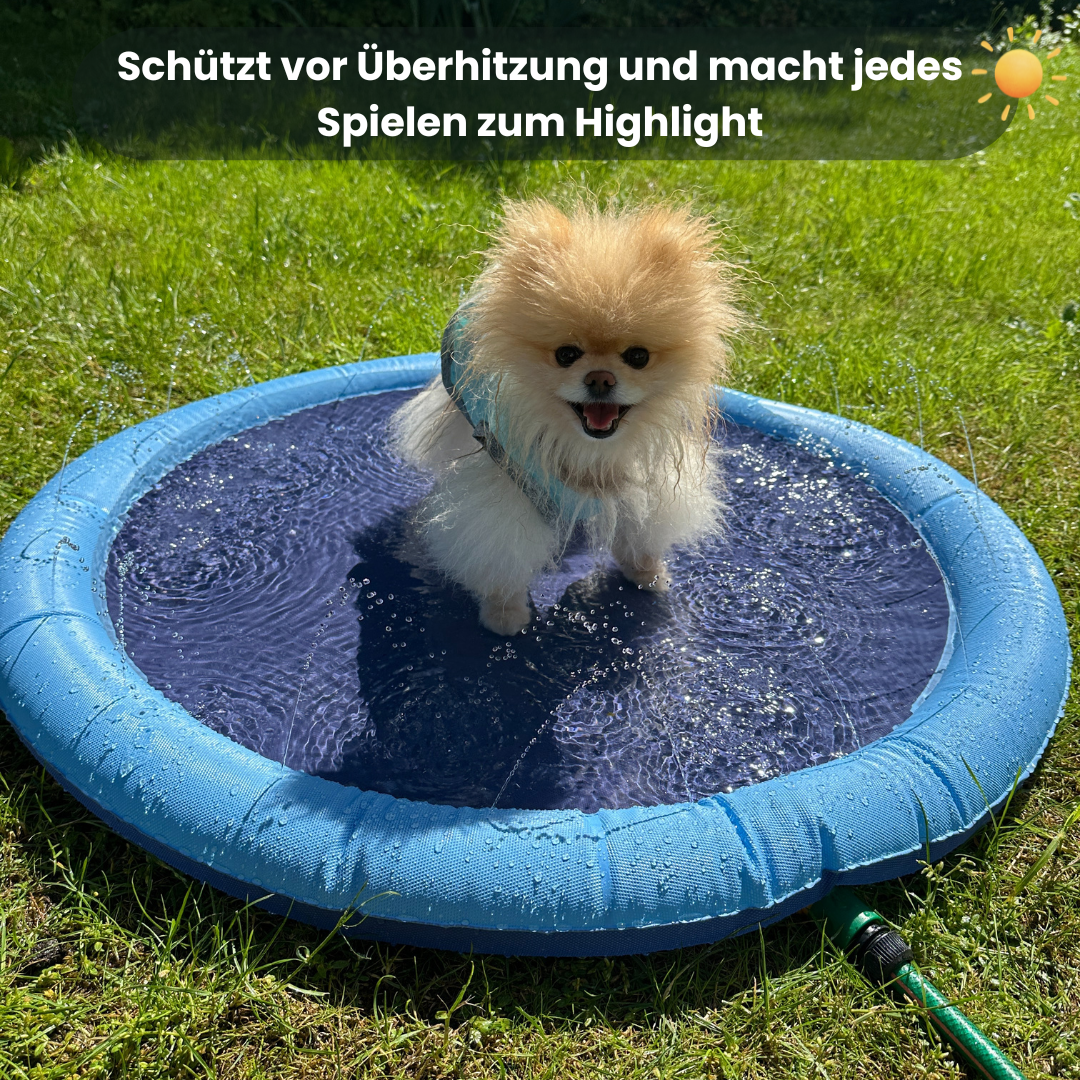 Splash Buddy -das pfotenhohe Hundeplanschbecken mit sanfter Sprinklerfunktion - Sommerspaß für deinen Hund