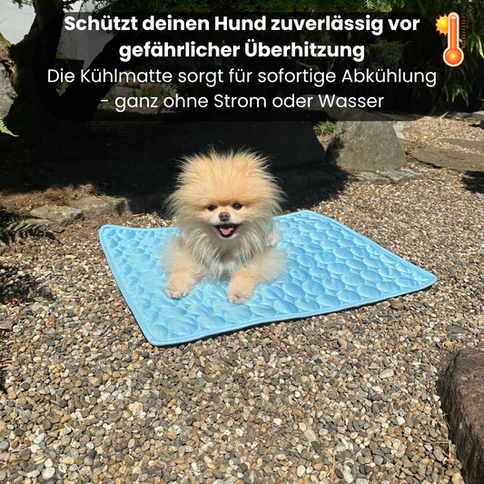 Paw Cooler - die mobile Kühlmatte für zuverlässigen Schutz vor Überhitzung!