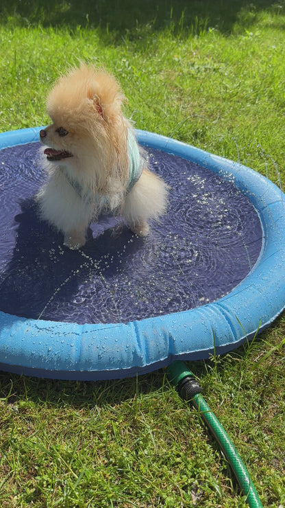 Splash Buddy -das pfotenhohe Hundeplanschbecken mit sanfter Sprinklerfunktion - Sommerspaß für deinen Hund